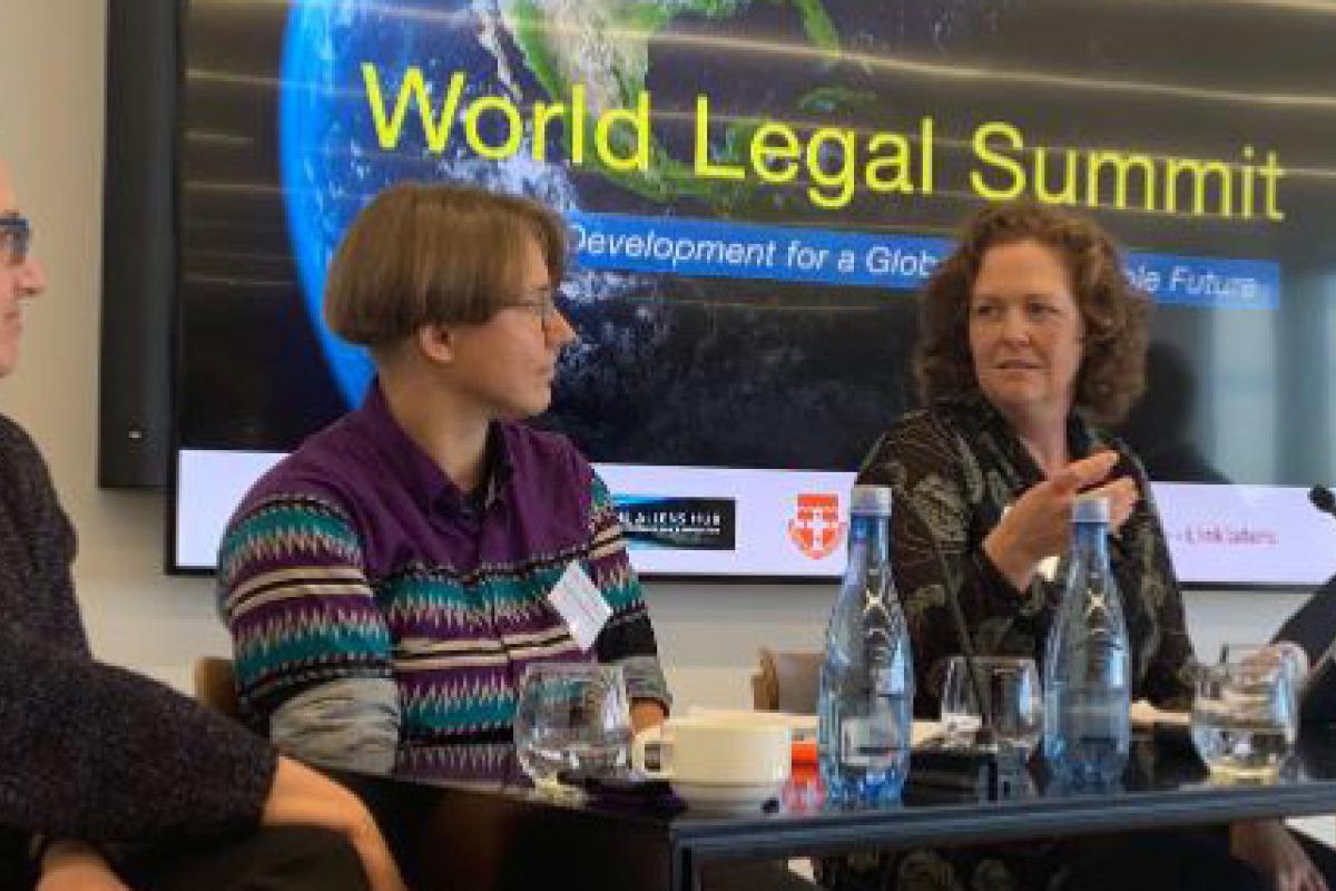 WLS panel